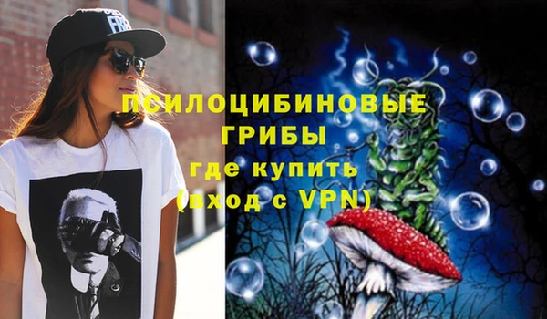 ГАЛЛЮЦИНОГЕННЫЕ ГРИБЫ Верхний Тагил