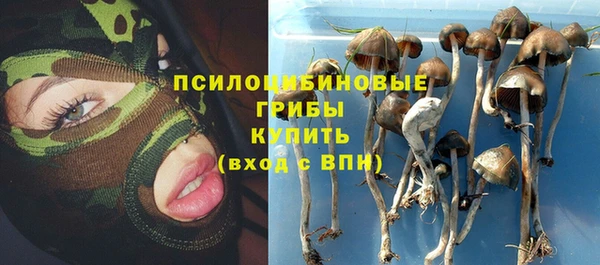 ГАЛЛЮЦИНОГЕННЫЕ ГРИБЫ Верхний Тагил