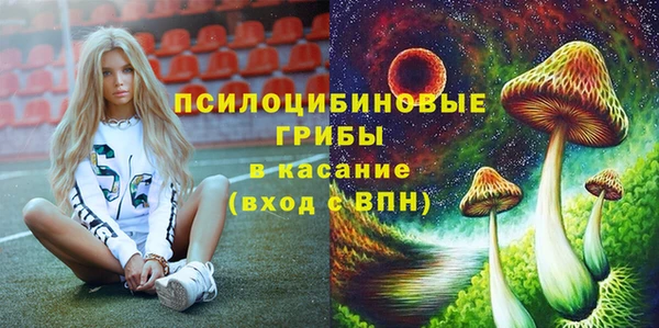 ГАЛЛЮЦИНОГЕННЫЕ ГРИБЫ Верхний Тагил
