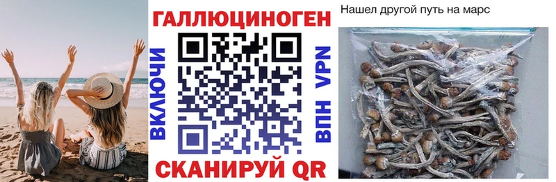 Купить закладки  Островной  Псилоцибиновые грибы ЛСД 