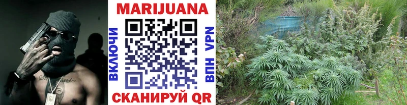 Бошки марихуана White Widow  Купить где  Островной 